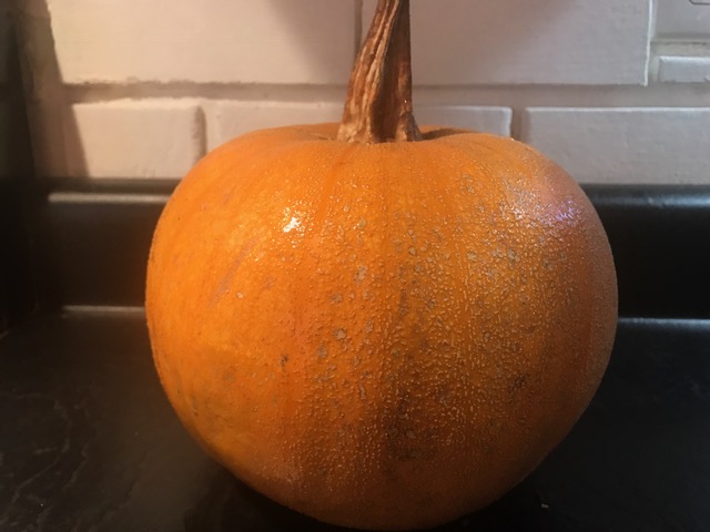 Pumpkins…. Need I say more?